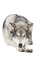 Loup gris couché - GIF animé gratuit
