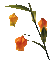 Nina flower - Ücretsiz animasyonlu GIF animasyonlu GIF