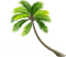 palm trees bp - zdarma png animovaný GIF