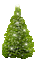 C. Tree 4 - Gratis geanimeerde GIF geanimeerde GIF