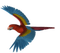 Kaz_Creations - Free PNG Animated GIF