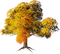 Fall Tree-RM - kostenlos png Animiertes GIF