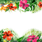 loly33 frame fleur - png gratis GIF animado