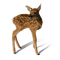 Real Bambi - GIF animé gratuit