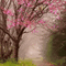 Spring.Landscape.gif.Victoriabea - Animovaný GIF zadarmo animovaný GIF