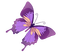 Kaz_Creations Butterflies Butterfly