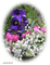 patymirabelle fleurs,muguet - Free PNG Animated GIF