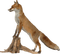 Kaz_Creations Animals Fox - PNG gratuit GIF animé