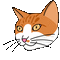 Sick Cat - Darmowy animowany GIF animowany gif