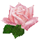 Fleur de la joie (stamp clem27) - Gratis geanimeerde GIF geanimeerde GIF