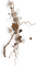 autumn branch leaves kikkapink brown - безплатен png анимиран GIF