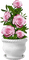 Roses.Pink - kostenlos png Animiertes GIF