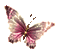 Y.A.M._Fantasy butterfly - GIF animado grátis Gif Animado