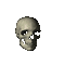 Skull - GIF animado gratis GIF animado