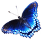 Kaz_Creations Butterflies Butterfly - gratis png animerad GIF