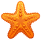 Kaz_Creations Deco Beach Starfish - ingyenes png animált GIF