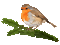 vogel db - Безплатен анимиран GIF анимиран GIF