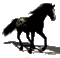 s34 aze cheval noir blanc tube animation animé