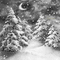 Y.A.M._Winter New year background black-white - Free animated GIF Animated GIF