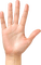 Hand - zadarmo png animovaný GIF
