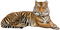 tiger milla1959 - безплатен png анимиран GIF