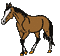 cheval - Animovaný GIF zadarmo animovaný GIF