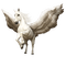 Pegasus bp - bezmaksas png animēts GIF
