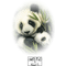 Pandas - GIF animado grátis