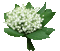 Lily of the valley. Animated. Flower. Leila - GIF animado gratis GIF animado