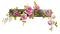 flowers - zadarmo png animovaný GIF