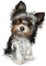animal-dog--djur-hund - zadarmo png animovaný GIF