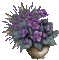 vase of flowers bp - Animovaný GIF zadarmo animovaný GIF