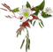 flowers - png gratuito GIF animata