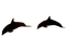 delfini - Free PNG Animated GIF