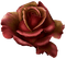 Rosa ambra - GIF animé gratuit