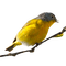 oiseau - png gratuito GIF animata