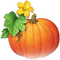 soave deco autumn thanksgiving pumpkin flowers