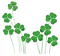 st patrick;s day clovers - 免费PNG 动画 GIF