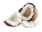 coconuts - Free PNG Animated GIF