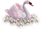 Kaz_Creations Swans Swan Birds - png gratis GIF animado