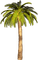 palm by nataliplus - kostenlos png Animiertes GIF