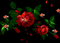 цветы - Безплатен анимиран GIF анимиран GIF