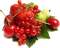 fruta - png gratuito GIF animata