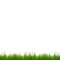 green grass - PNG gratuit GIF animé