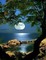 full moon -Nitsa - Free PNG Animated GIF