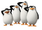 pingwiny z madagaskaru - GIF animasi gratis