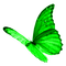 BUTTERFLY! - kostenlos png Animiertes GIF