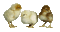 chicken bp - 無料のアニメーション GIF アニメーションGIF