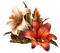 vintage lily - besplatni png animirani GIF