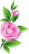 Rose - Kostenlose animierte GIFs
